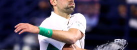 novak