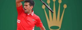 novak