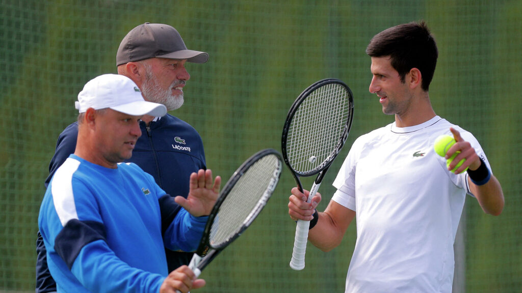vajda-novak