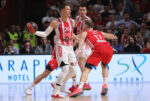 nedovic