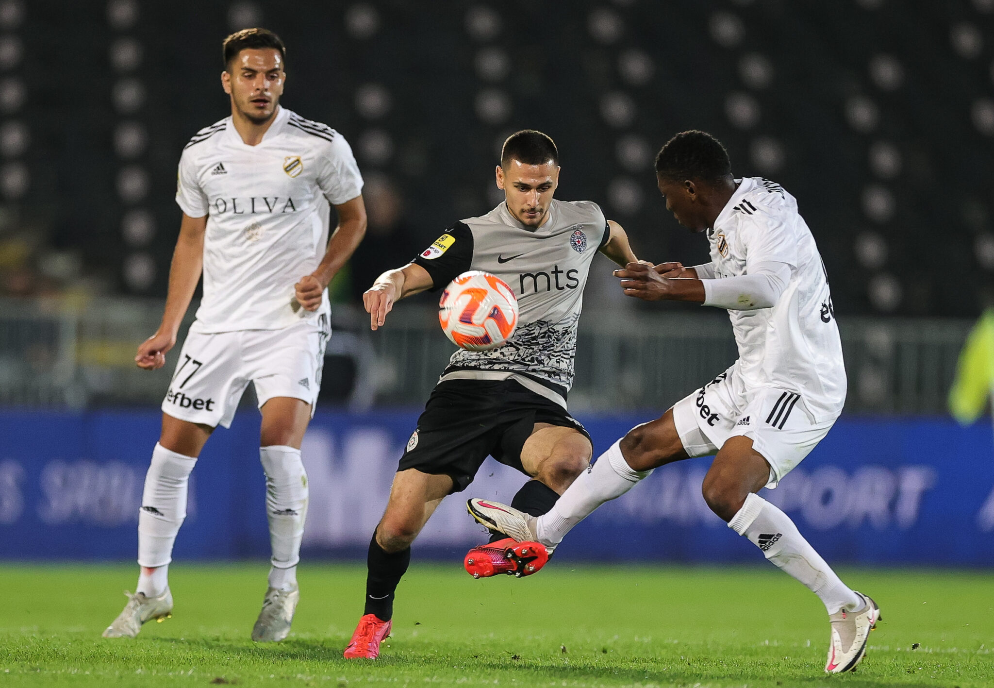 partizan cukaricki