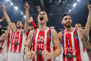 nedovic zvezda vildoza
