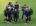 fk-partizan