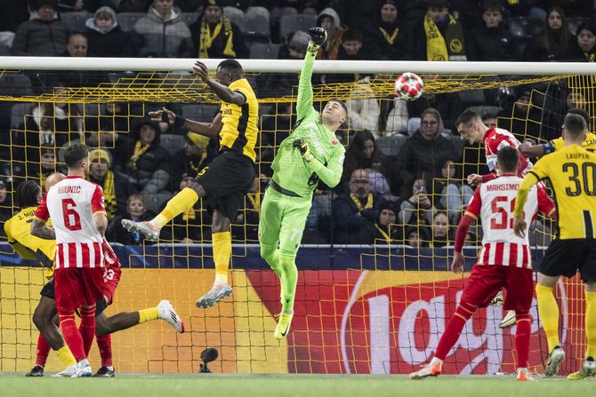 Poznato koliko je miliona Zvezda inkasirala učešćem u Ligi šampiona!