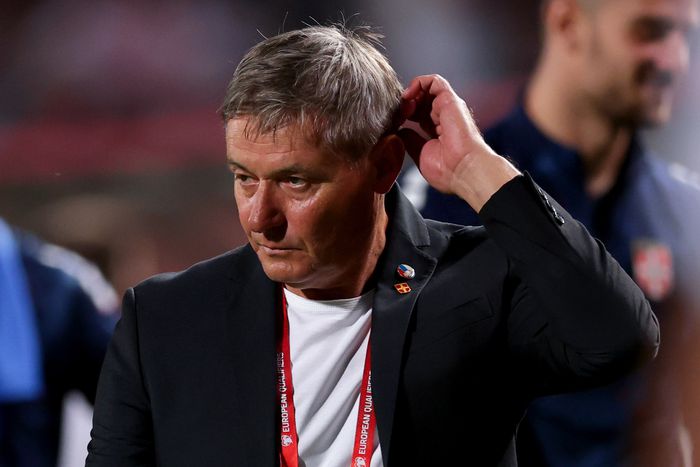 Dragan Stojković saopštio spisak igrača protiv Albanije!